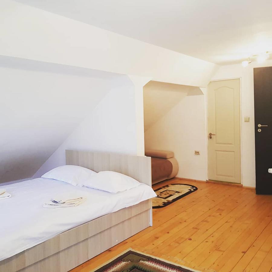 Casa Teodor Rucar Casa De Oaspeti 외부 사진